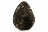 Septarian Dragon Egg Geode - Sparkly Black Crystals #336466-1